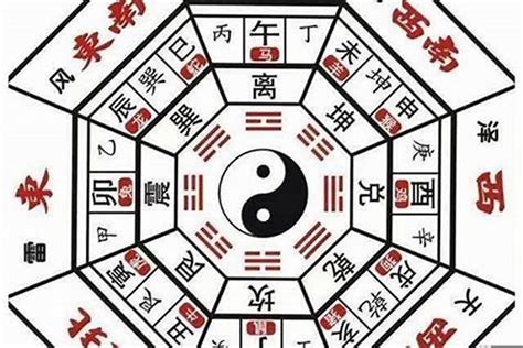 蝴蝶五行|蝴蝶在风水学的含义（蝴蝶风水中五行属什么）